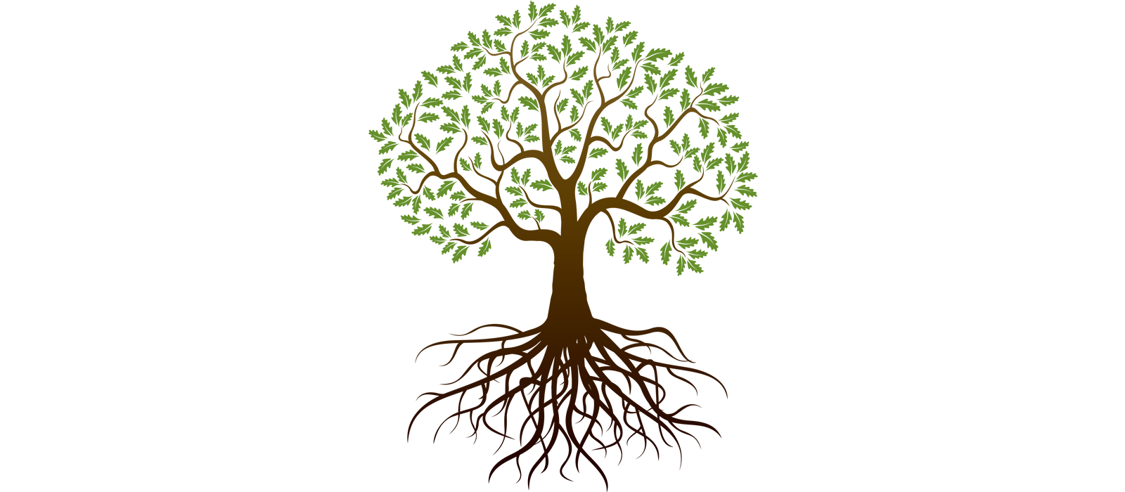 image of Family Tree